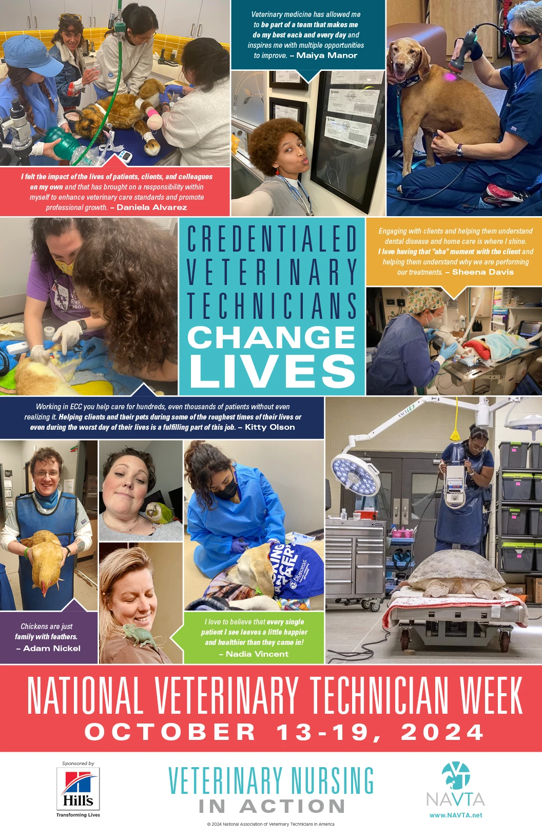 Celebrating National Veterinary Technician Week 2024 NAVTA